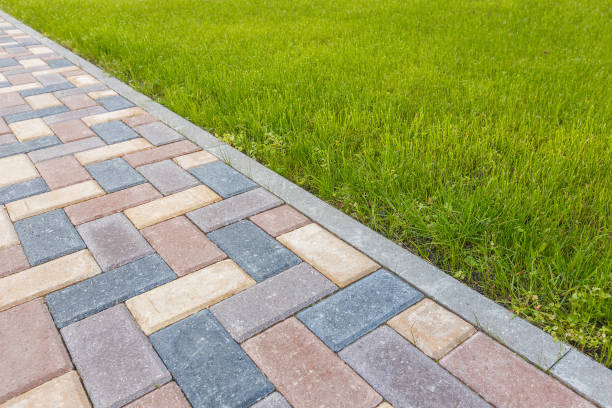 Best Driveway Paving Contractor  in Greenville, FL